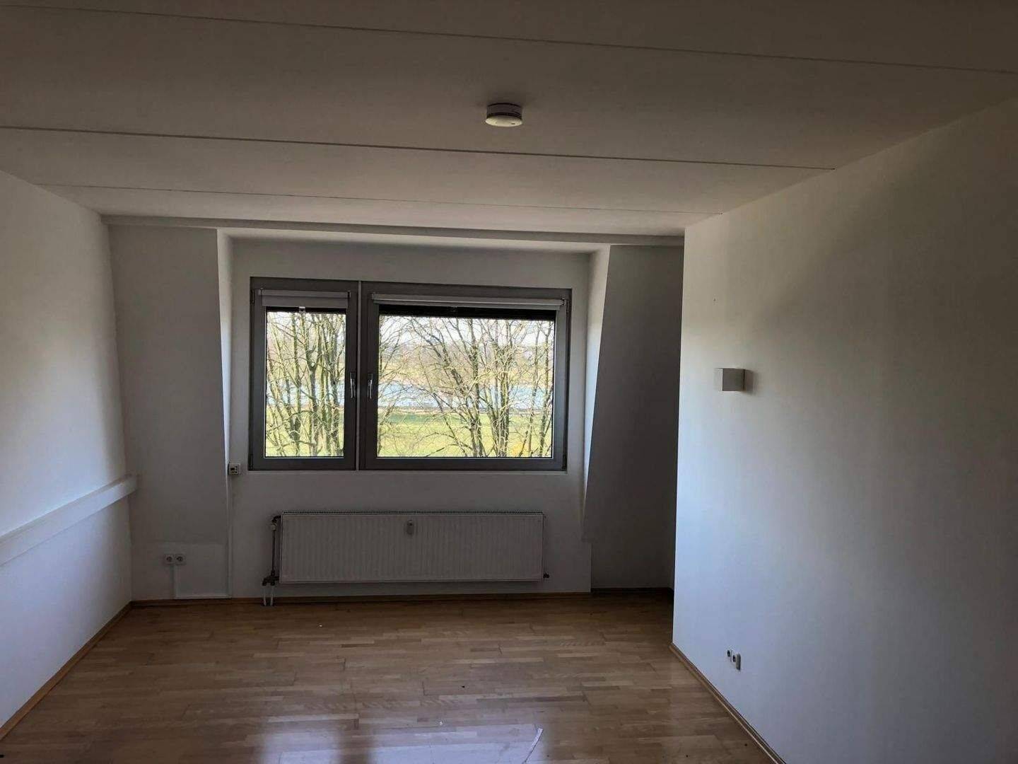 *** Großzügiges 3 Raum-Wohn/Büro am Rheinpark D-Golzheim*** – Düsseldorf – Vorschaubild 5