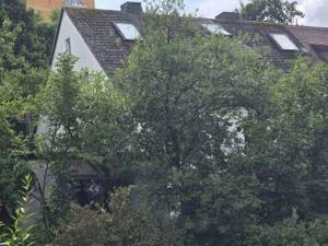 Kleiner versteckter Traum mit viel Grünfläche! Mehrfamilienhaus in 97074 Würzburg-Frauenland (ID 92) – 97074 Würzburg – Vorschaubild 5