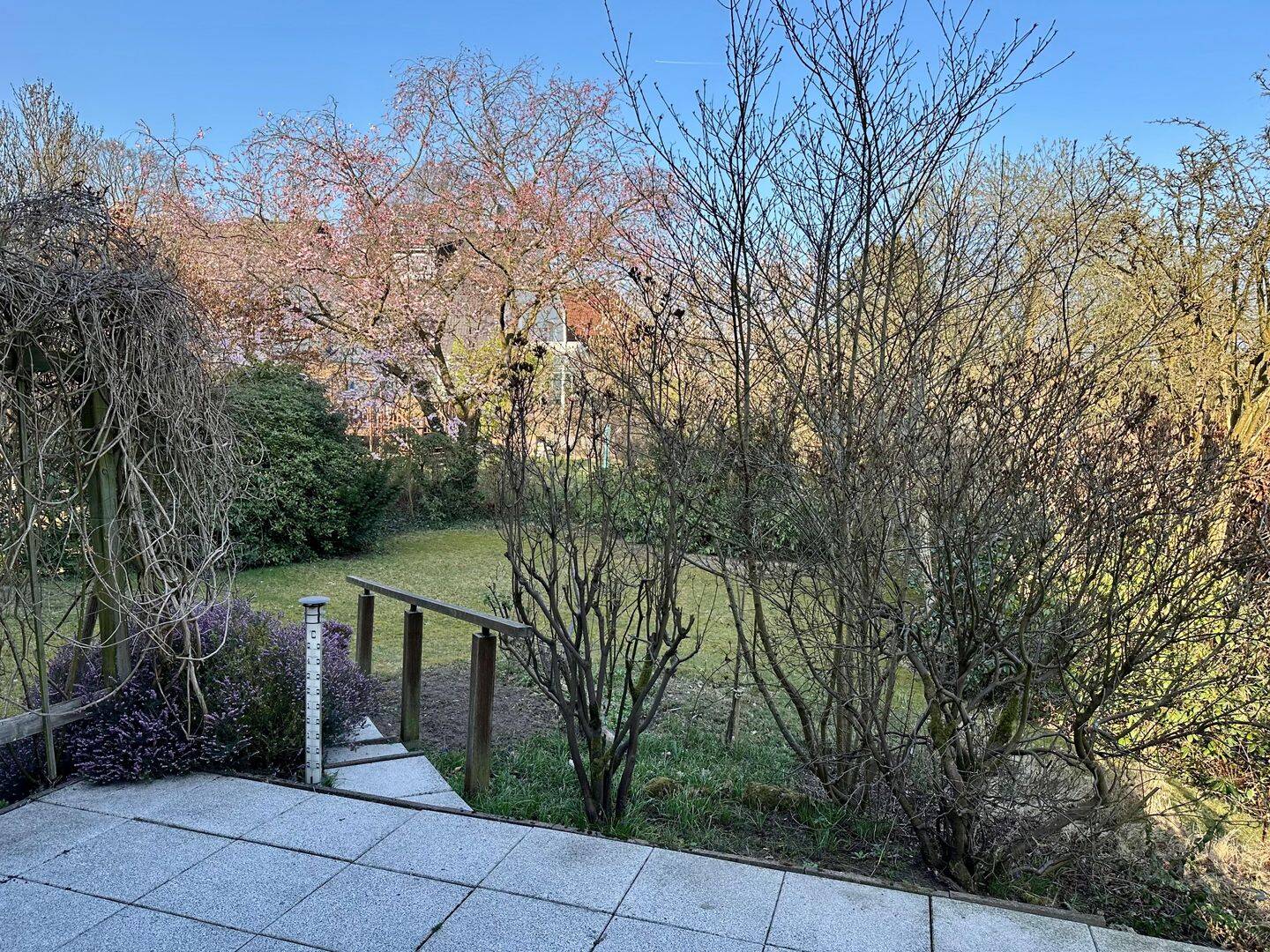 Die Sonne auf der Terrasse, die Familie im Herzen – Hamburg – Vorschaubild 5