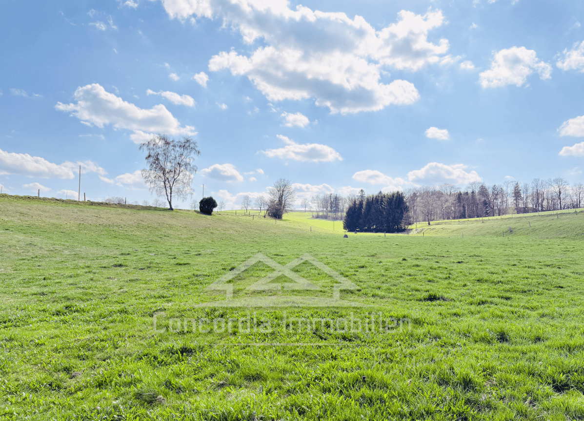 Ländliches Anwesen mit Wohnhaus, Scheune und Nebengebäuden auf großzügigem Grundstück. Viel Platz für Wohnen, Arbeiten und individuelle Entfaltung – Hartmannsdorf-Reichenau – Vorschaubild 6