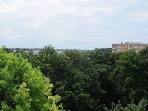 Dachterrassenwohnung mit Traumausblick – 81373 München – Vorschaubild 4