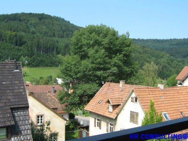 ATTRAKTIVE -  4 Zi.-Whg. im Zentrum von Seelbach