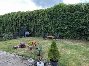Sofort Mieteinnahmen sichern! Vermietete EG-Wohnung in Sögel! – 49751 Sögel – Vorschaubild 8