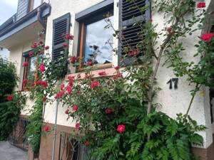 Charmantes Haus mit zwei Wohneinheiten in begehrter Höhenlage von Heidelberg-Ziegelhausen – 69118 Heidelberg – Vorschaubild 5