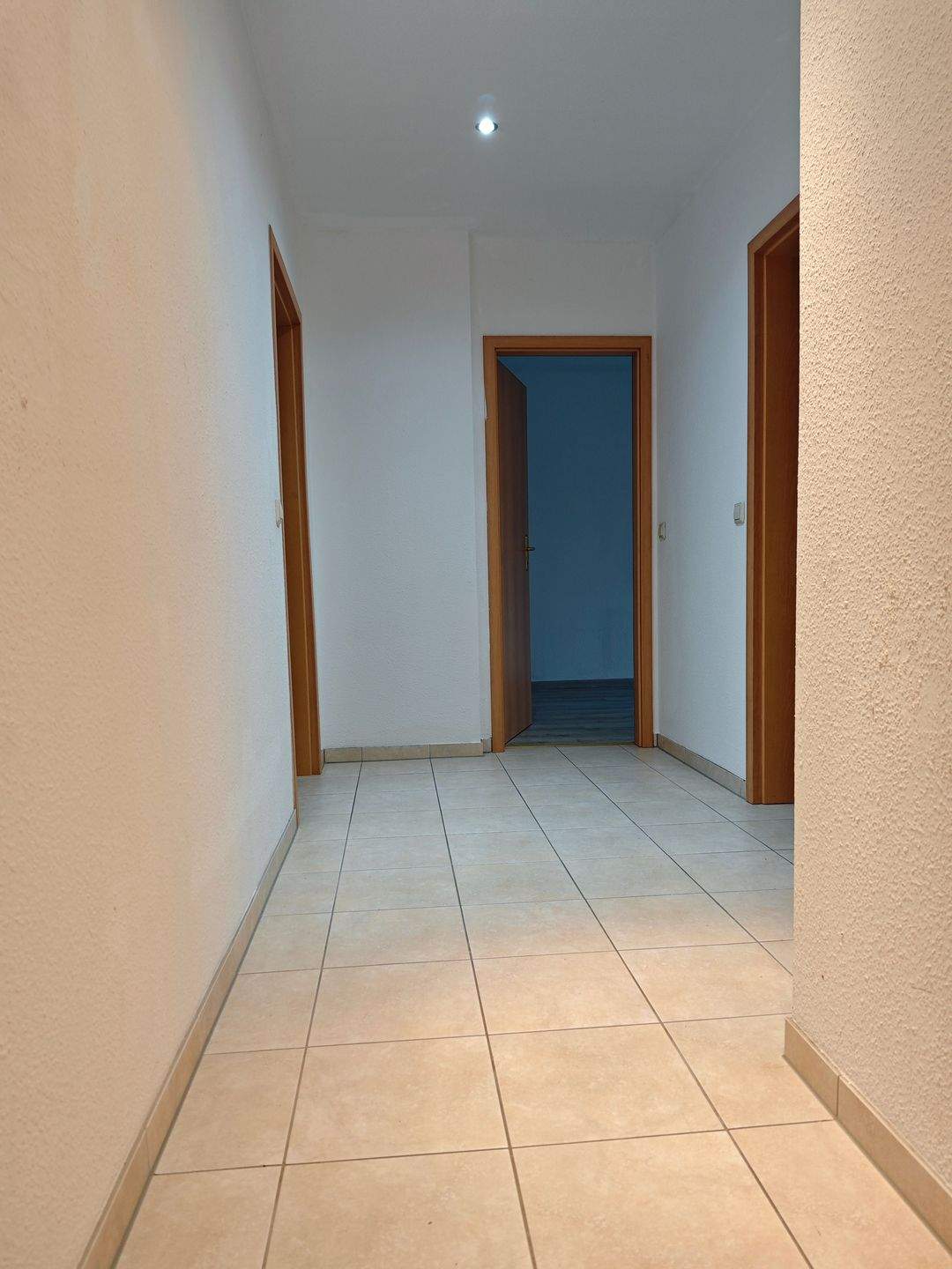 gemütliche 1-Zimmer-Wohnung in Chemnitz-Ebersdorf, Stellplatz möglich – Chemnitz – Vorschaubild 5
