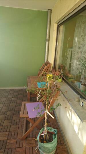 praktisch zugeschnittene 1-Zimmer-WHG mit Südbalkon und EBK-provisionsfrei – 69126 Heidelberg – Vorschaubild 8