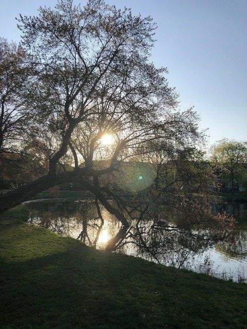 wohnen, wo Ruhe auf Natur trifft! – Leipzig – Vorschaubild 2