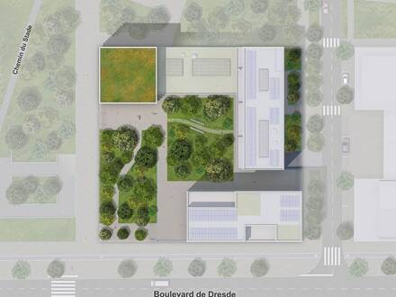 Program thumbnail