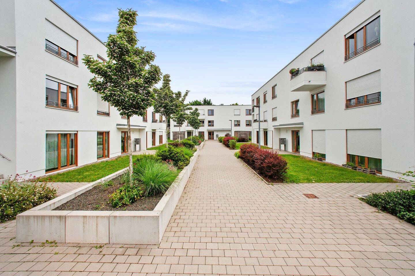 Familien aufgepasst : 3-Zimmer-Wohnung in der Johannesvorstadt