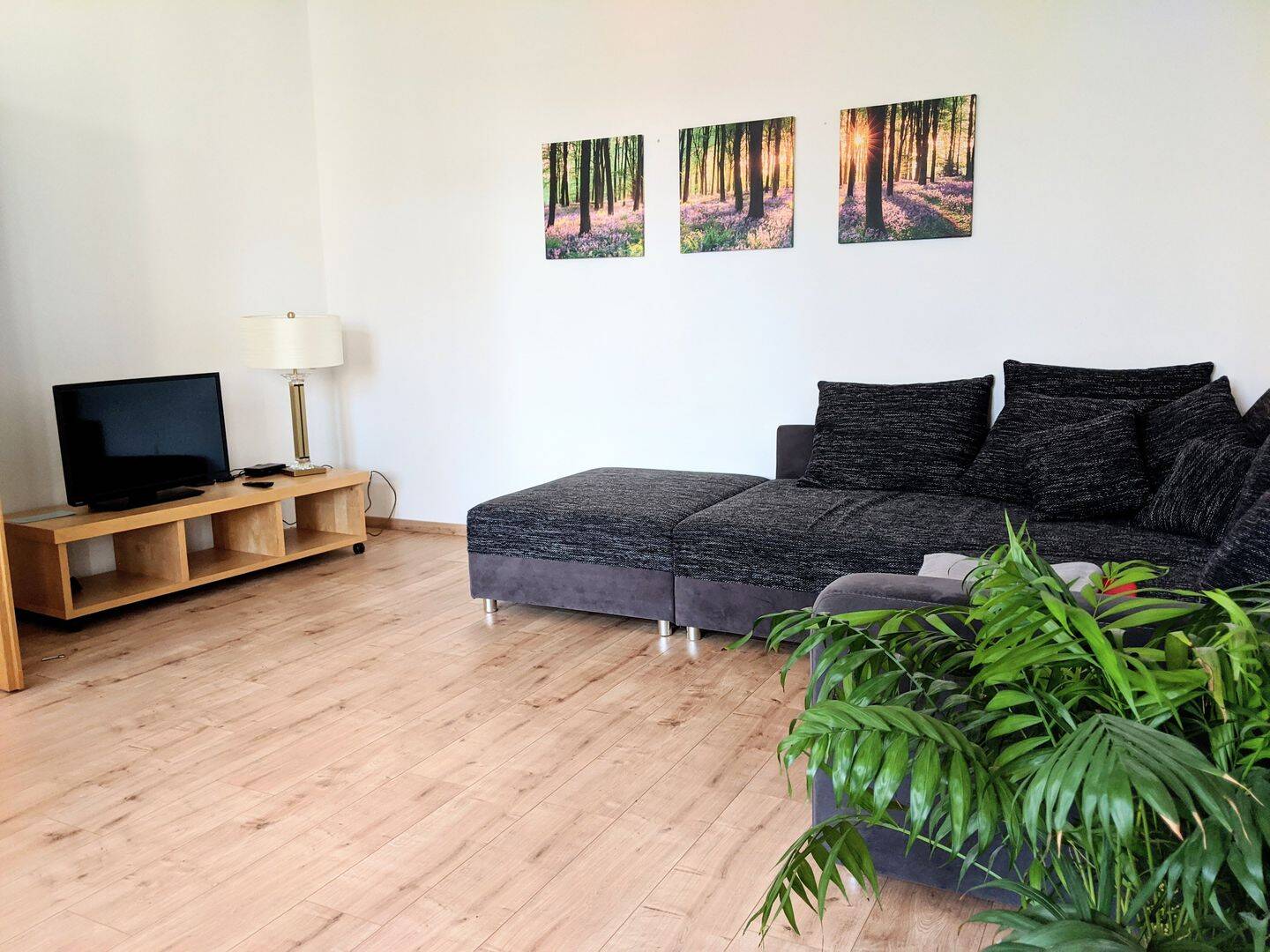 Schick, modern, geräumig - Studio Appartment unweit des Stadtzentrums von Leipzig – Leipzig – Vorschaubild 9