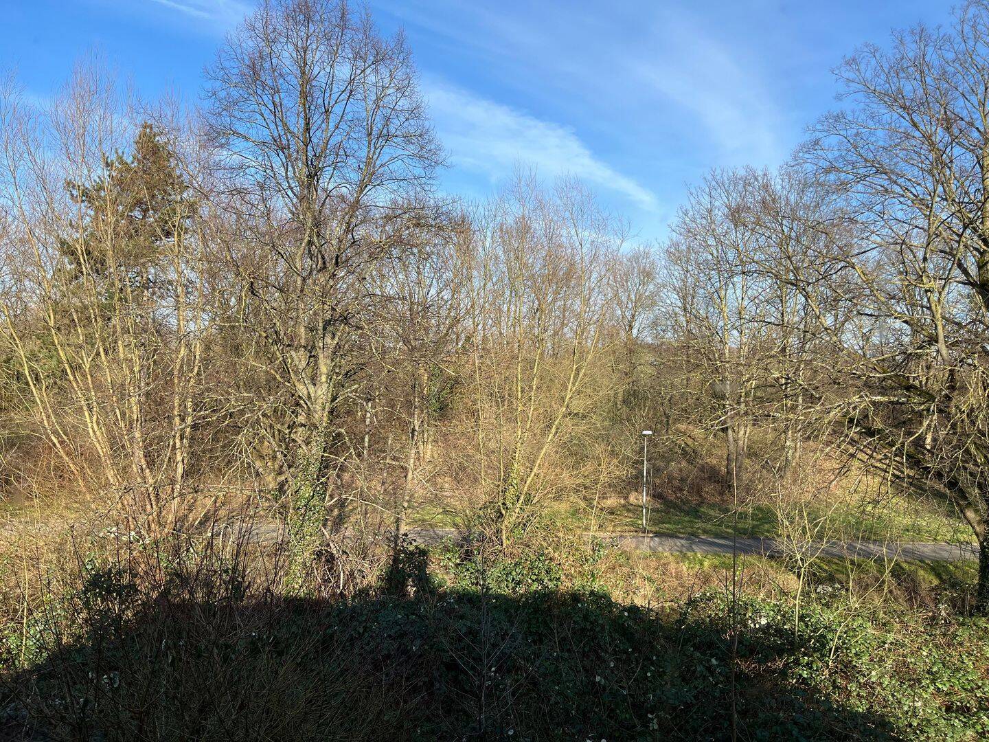 1 bzw. 2 Familienhaus, beste Lage&Möglichkeiten – Paderborn – Vorschaubild 5