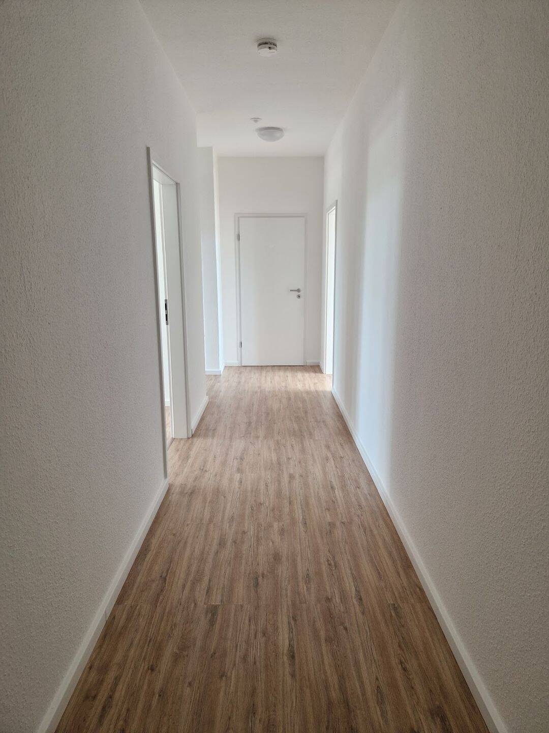 Heiße TAGE - Cooler DEAL: Jetzt zwei Kaltmieten frei - Licht durchflutet und frisch renoviert* – Magdeburg – Vorschaubild 3