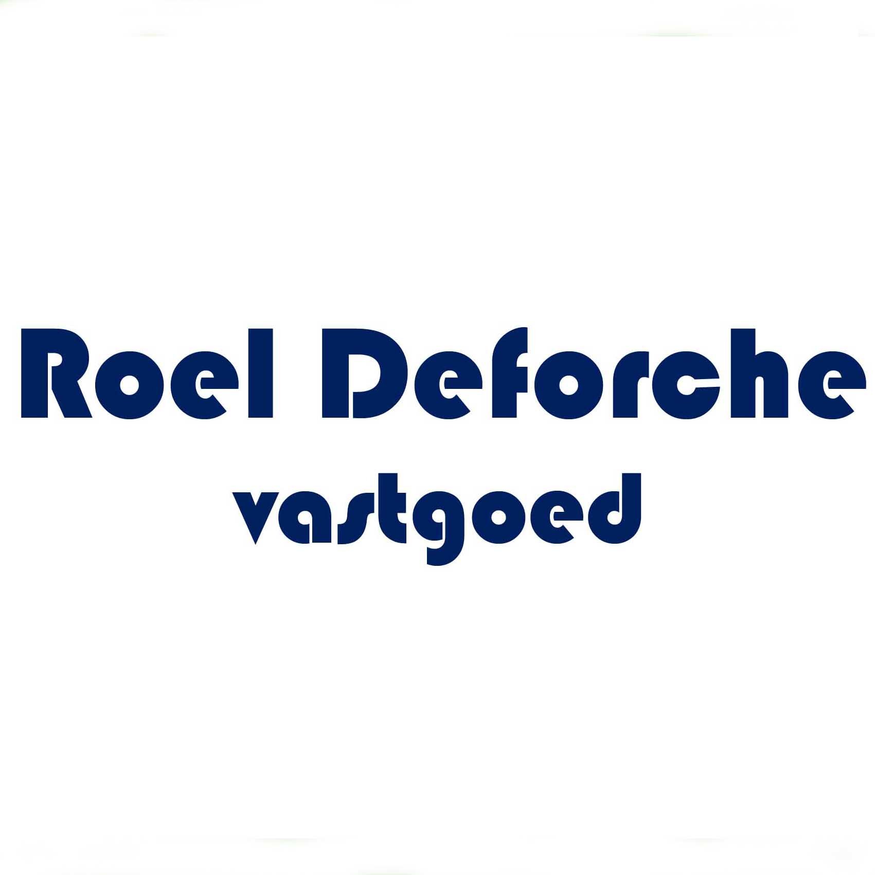 Roel Deforche logo