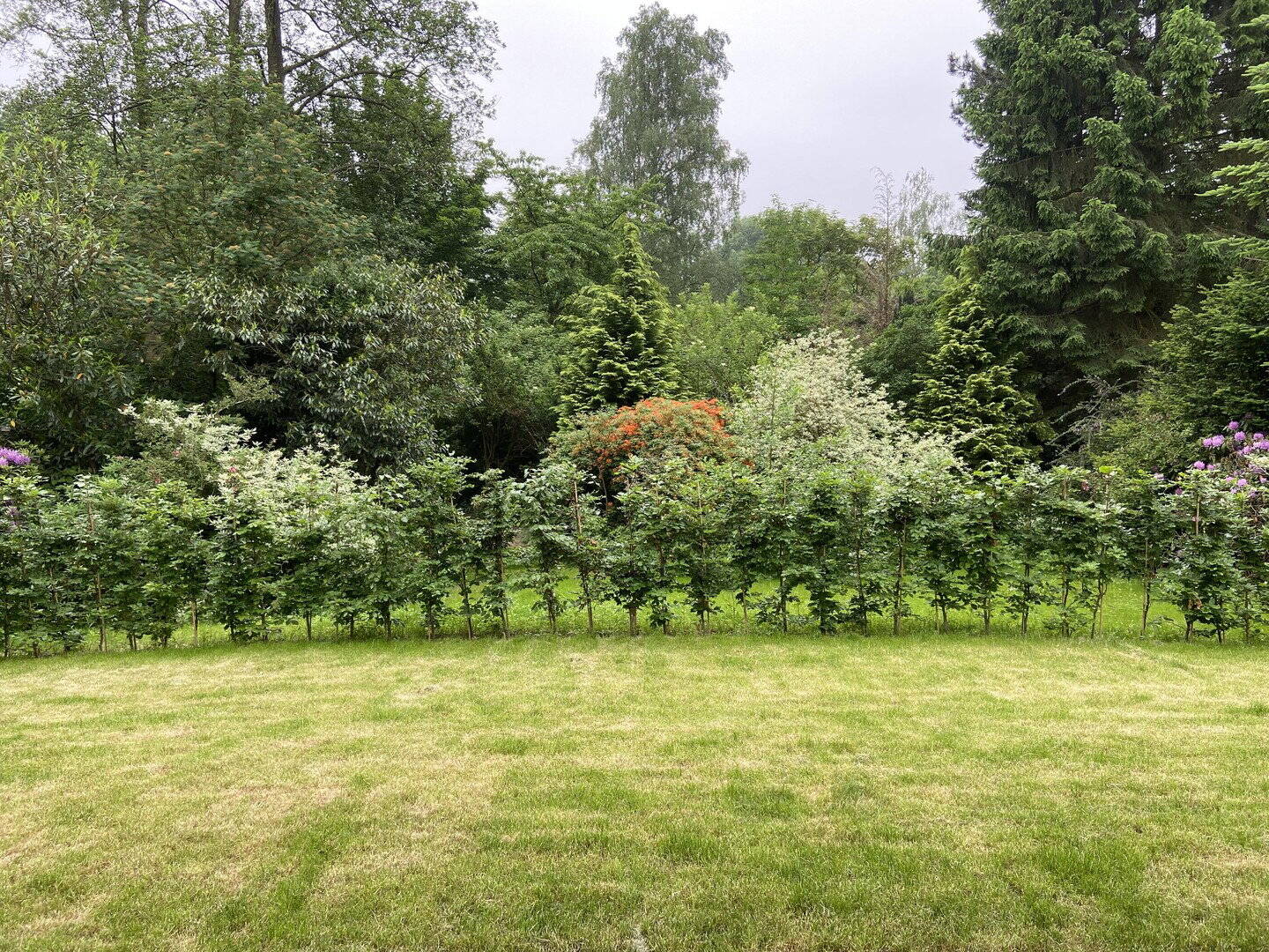 Wunderschöne moderne EG Wohnung mit eigenem Garten