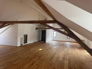 Charmantes Loft !!!!Stadt-Wohnung mit großer Terrasse und Stellplatz im Herzen von Konstanz – 78462 Konstanz – Vorschaubild 4