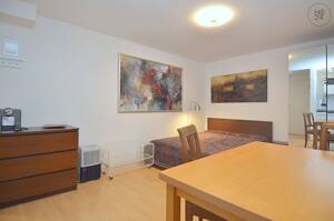 Möbliertes 1-Zimmer Apartment im Souterrain mit Internet in Mainz – 55131 Mainz – Vorschaubild 6