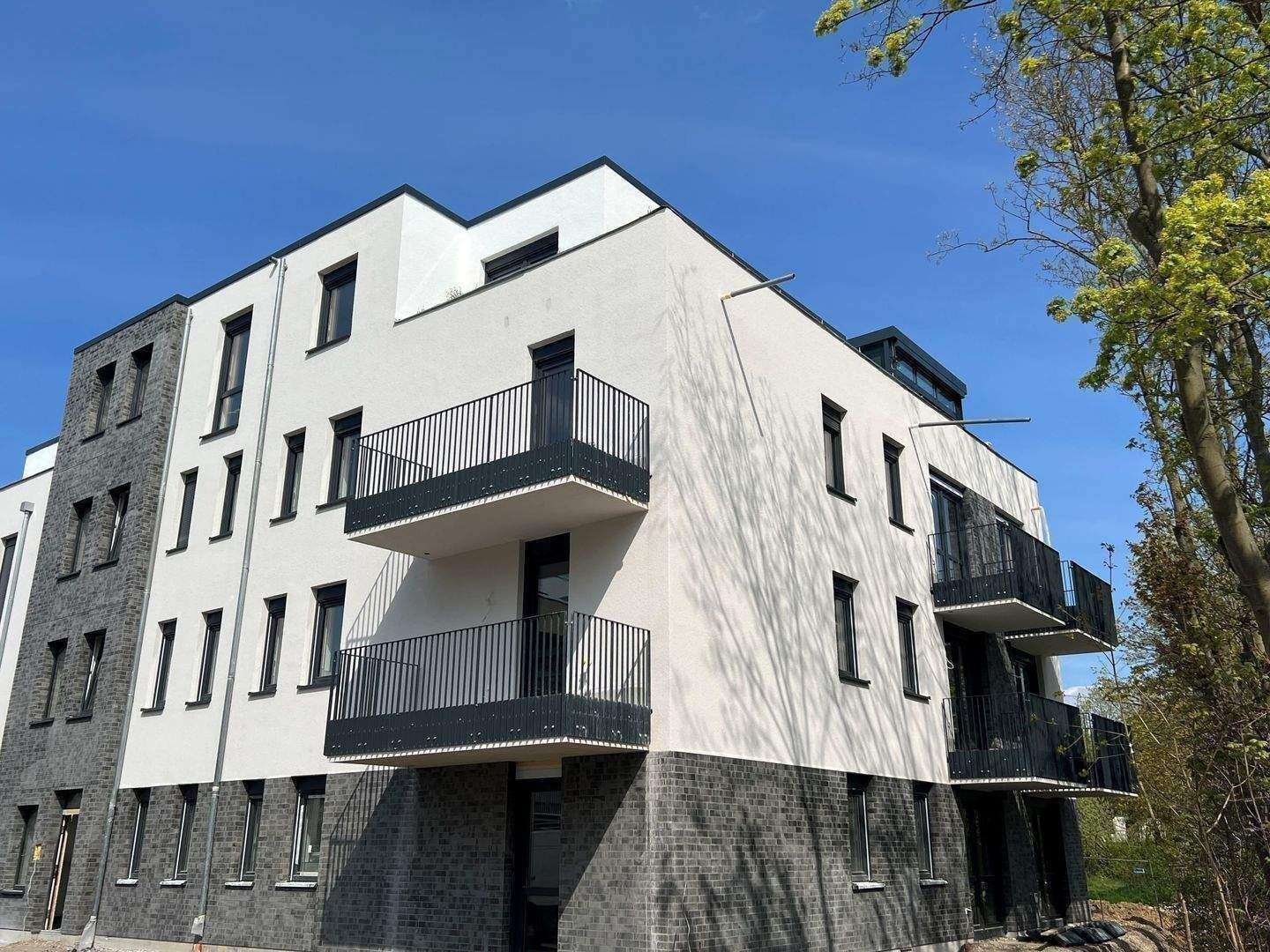 Attraktive Wohnung am Fasanenhof / Wolfsanger – Kassel – Bild 1 von 5