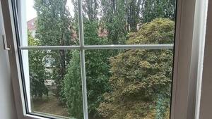 Helle 2-Zimmer Wohnung 63,48qm | Große Loggia mit Grünblick | Aufzug | TG | Stadtfeld Ost I sofort Bezugsfertig – 39108 Magdeburg – Vorschaubild 5