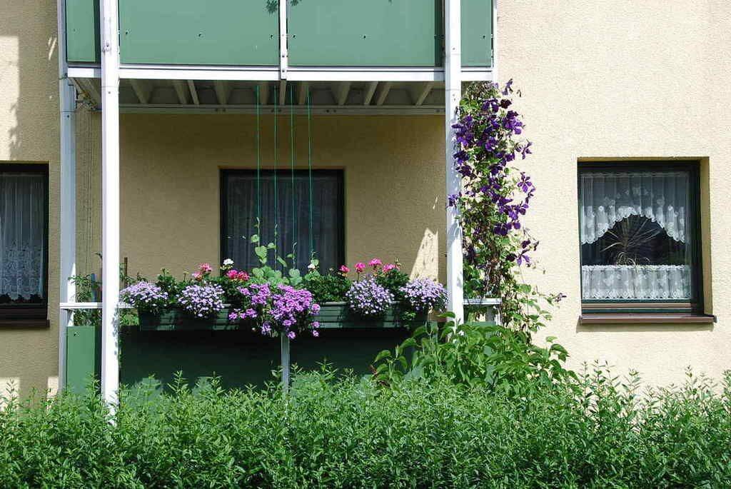 Balkonwohnung in ruhiger Seitenstraße gelegen – Chemnitz – Vorschaubild 4