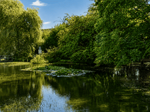 Idyllisches Wohnen in traumhafter Lage von Alt-Solln – 81479 München – Vorschaubild 8