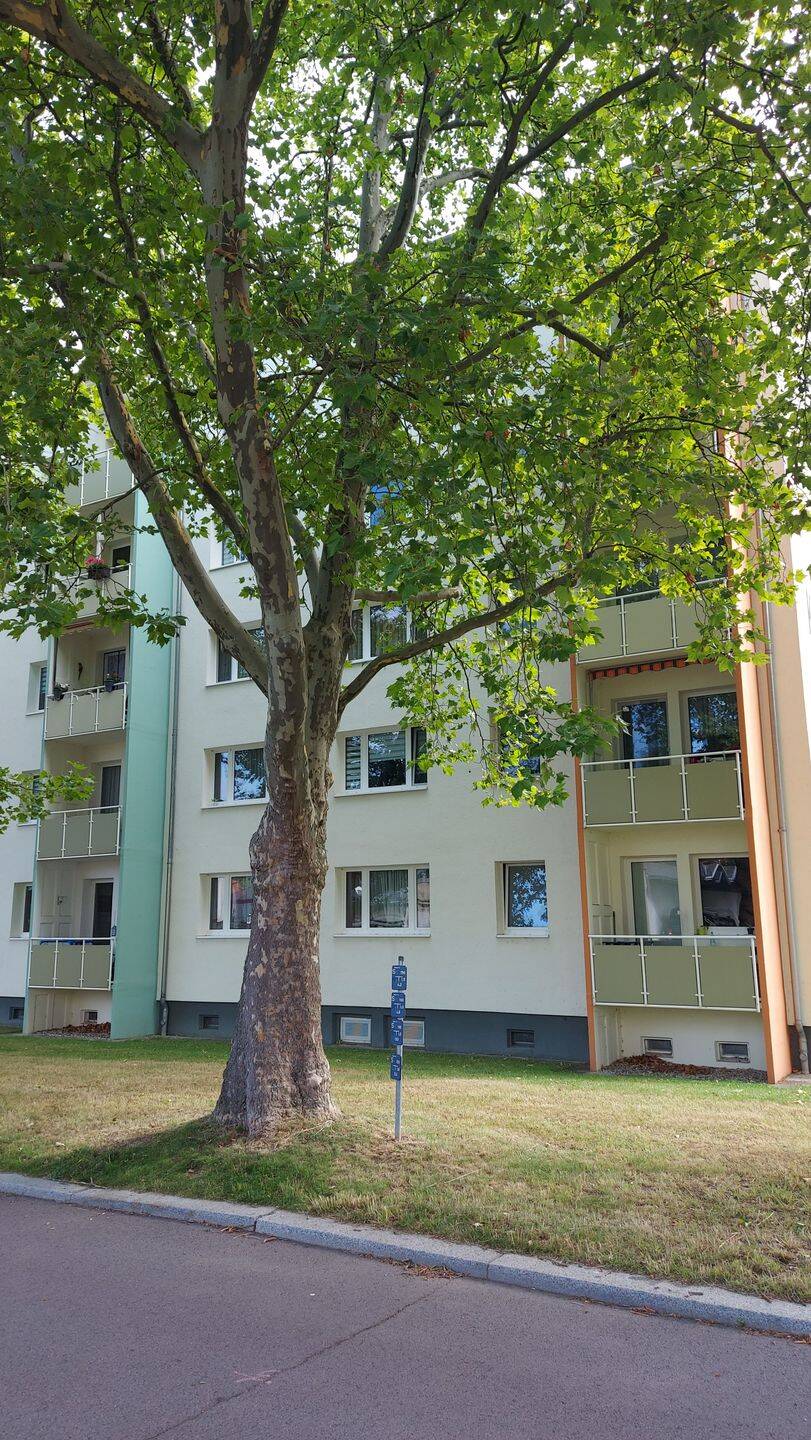 3-Zimmer ETW mit Balkon in Borna – Borna – Vorschaubild 3