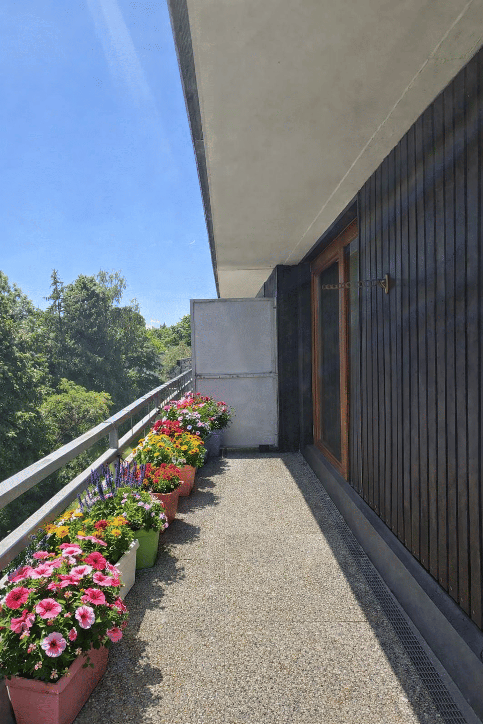 Wunderschöne Dachterrassenwohnung München-Solln – München – Vorschaubild 7