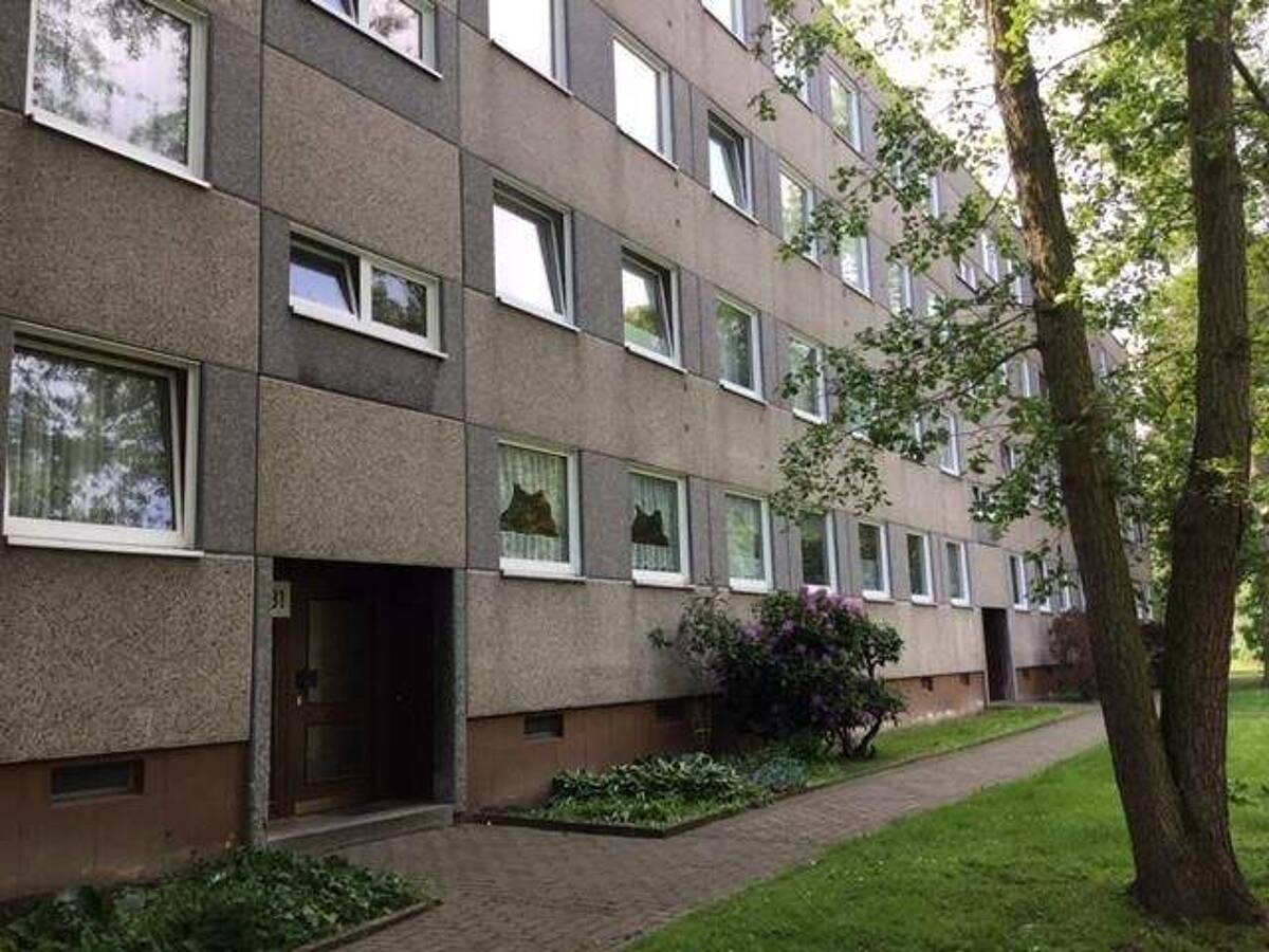 Hier lässt es sich aushalten: günstige 3-Zimmer-Wohnung in einer grünen Wohnanlage – 34132 Kassel – Bild 1 von 9