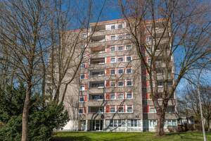 Hier findet jeder seinen Platz: komplett renovierte 3-Zimmer-Wohnung mit Balkon! – 44359 Dortmund – Vorschaubild 7
