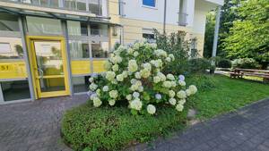 Wohnung in Bremen – 28329 Bremen – Vorschaubild 2