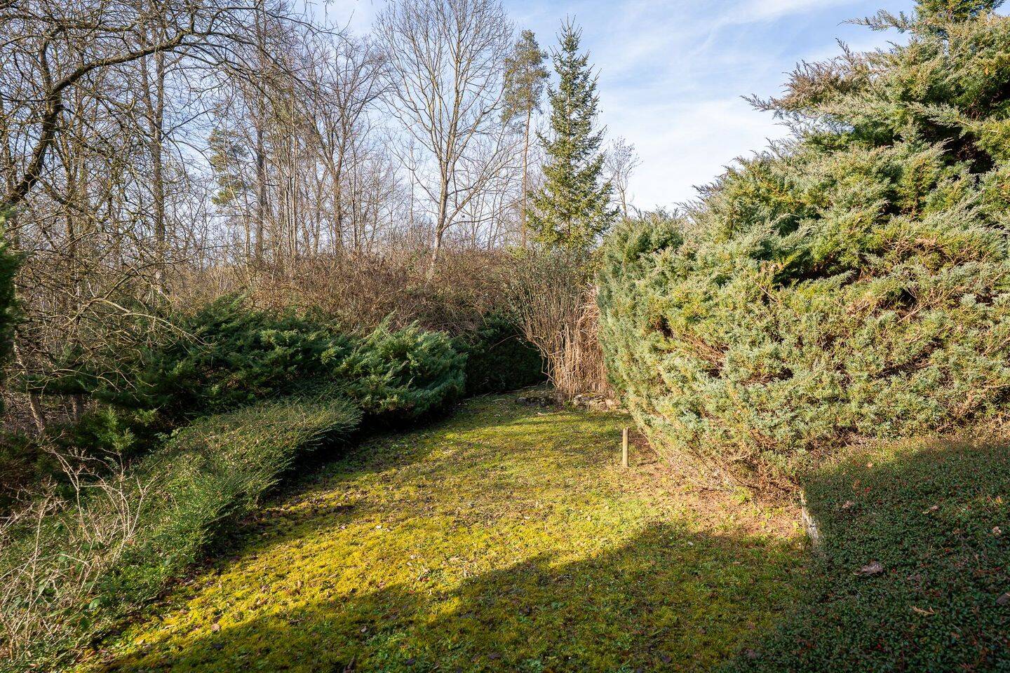 Geräumige 1-Zimmer-Wohnung mit Terrasse und Garten in S-Sonnenberg – Stuttgart – Vorschaubild 5