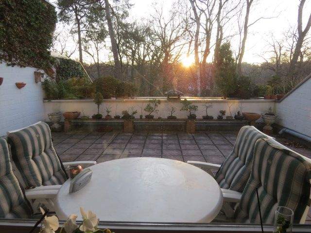 Berlin-Grunewald, beste Lage im EG (zur Waldseite 1.OG durch Hanglage) mit großer Süd-Terrasse und herrlichem Blick in die Natur - Einzelgarage – Berlin – Vorschaubild 7