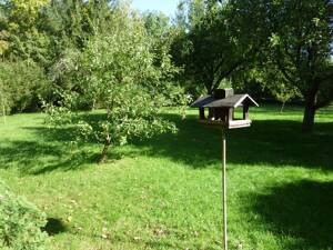 Herrliches, großes und gepflegtes Gartengrundstück mit Gartenhaus und Nebengebäude in ruhiger Lage von Erfurt-Bischleben – 99094 Erfurt – Vorschaubild 5