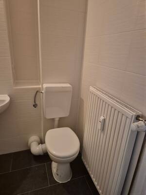 Frisch renovierte 1 Raum Wohnung sucht neuen Mieter – 4349 Leipzig – Vorschaubild 5