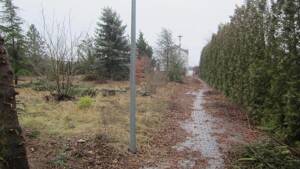 Das schlanke Reihenhaus für schmale Grundstücke in Stotternheim – 99095 Erfurt – Vorschaubild 3