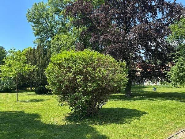 Stilvolle 5-Zimmer-Wohnung in historischer Villa mit Denkmalschutz auf großem Erbpachtgrundstück – Schopfheim – Vorschaubild 2