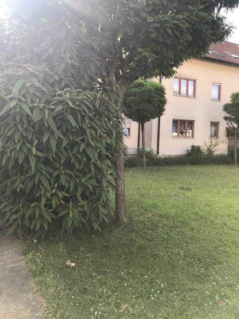 Ruhige im Zentrum Rastatt schöne helle 2,5-Zimmerwohnung mit Hobbyraum, Keller, TG Stellplatz und Außenstellplatz