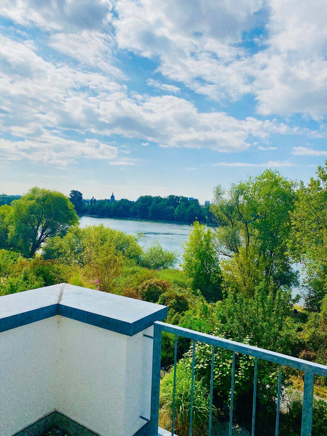 Hochwertiges Wohnhaus - einzigartiger und unverbaubarer Rheinblick! – Wiesbaden – Vorschaubild 3