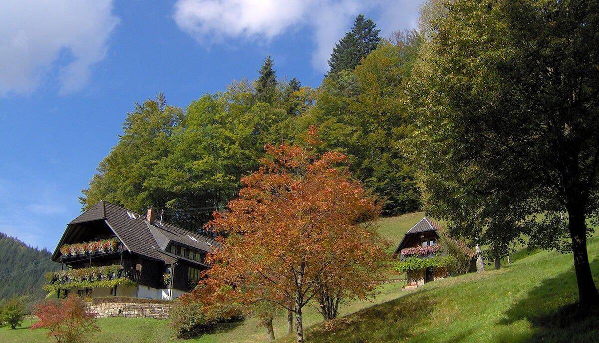 Voll möbliertes 2-Zimmer-Apartment mit großem Balkon und Panoramablick ins Wolftal