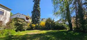 Exklusives Sonnengrundstück mit Bestandsgebäude im Inneren Westen von Regensburg – 93049 Regensburg – Vorschaubild 7