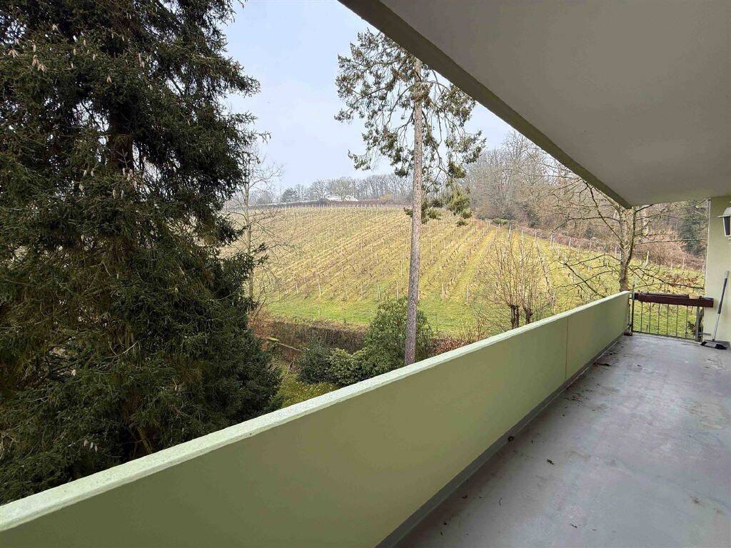 Top-Lage am Neroberg 3-4 ZKB mit 2 Balkonen, Weinbergblick und Aufzug – Wiesbaden – Vorschaubild 5