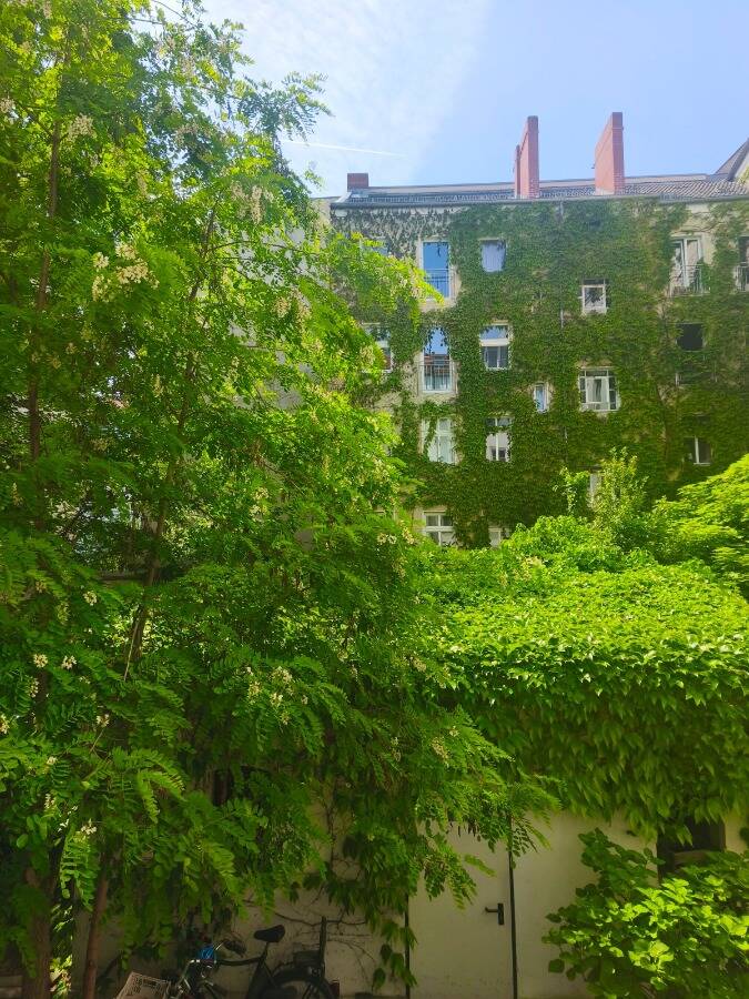 Charmante Maisonette mit Südbalkon im Dachgeschoss im Prenzlberg – Berlin – Vorschaubild 2