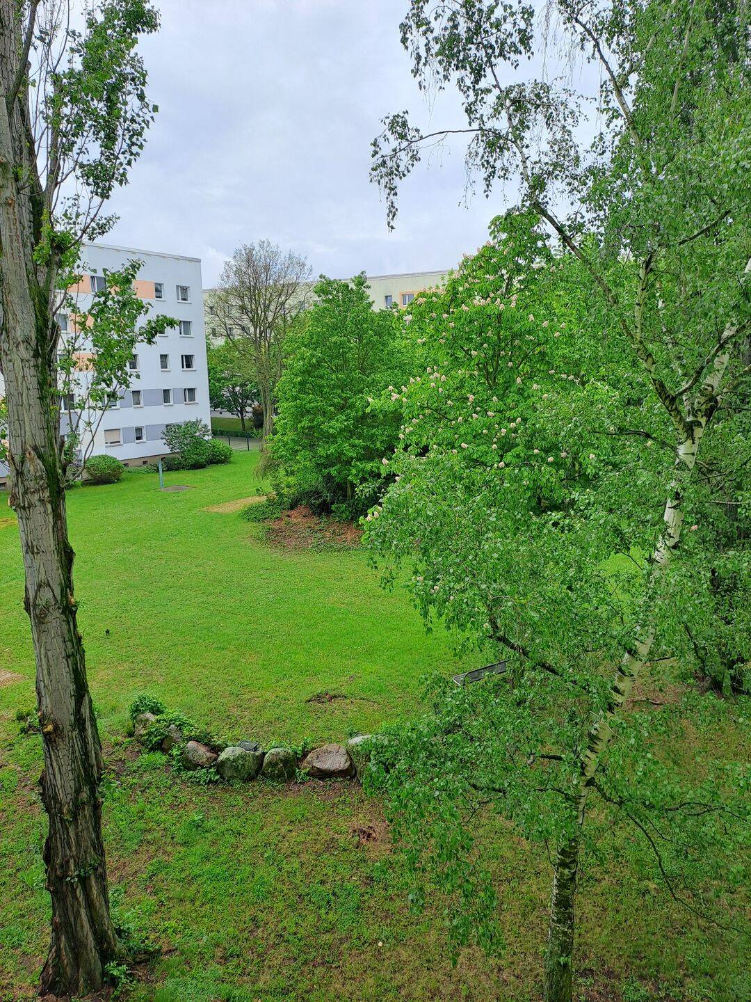 Sonnige 3-Zimmer-Wohnung mit Balkon in ruhiger Wohnlage – Magdeburg – Bild 1 von 6