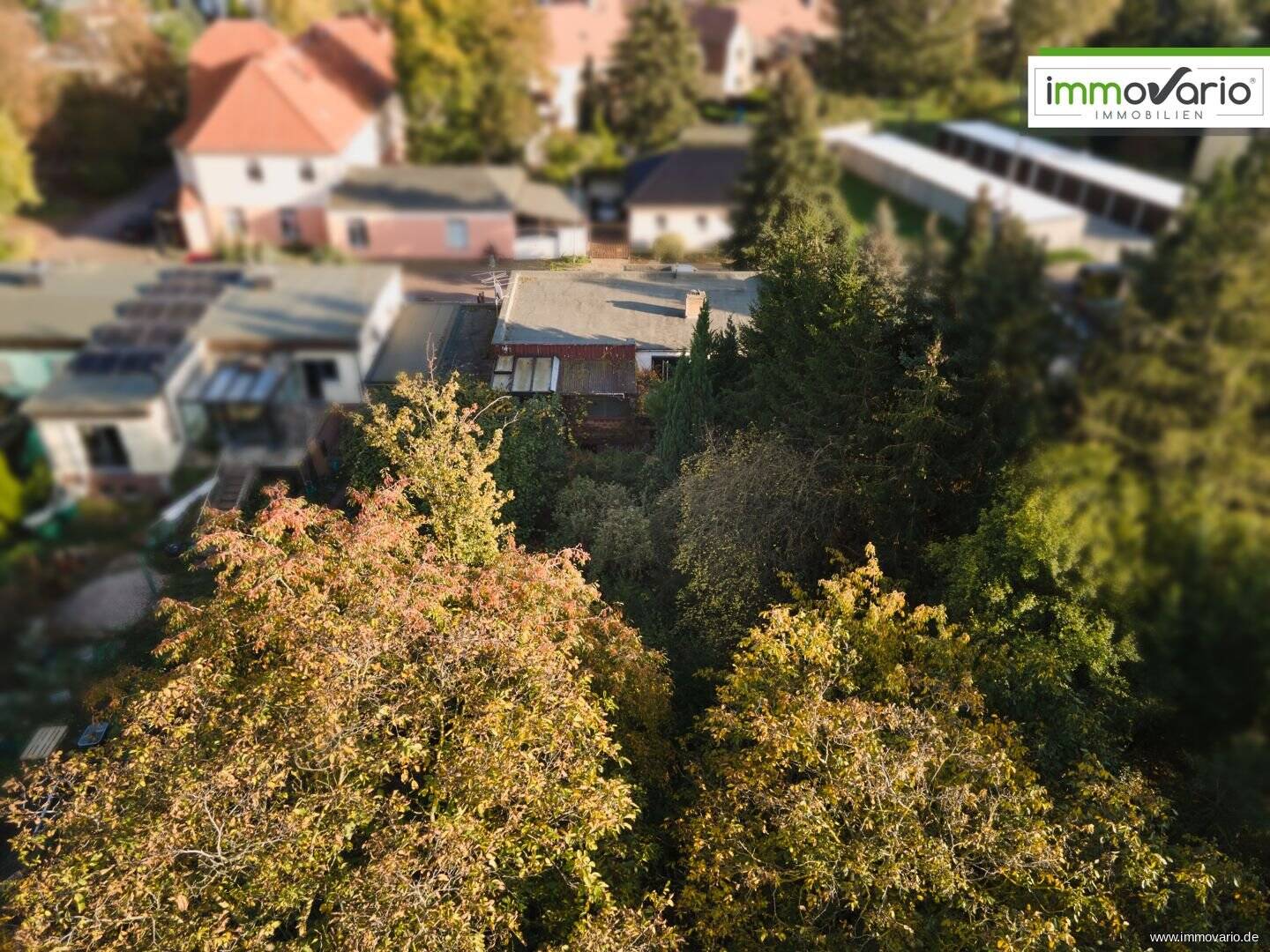 Sanierungsbedürftiger Bungalow mit großem Grundstück zu verkaufen! – Magdeburg – Vorschaubild 7