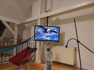 Traumwohnung im Herzen von Wiesbaden für 1 Jahr zur Miete – 65197 Wiesbaden – Vorschaubild 4