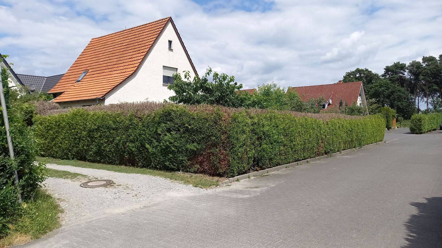 Einfamilienhaus in Gütersloh / Spexard mit zwei Wohneinheiten – Gütersloh – Vorschaubild 4