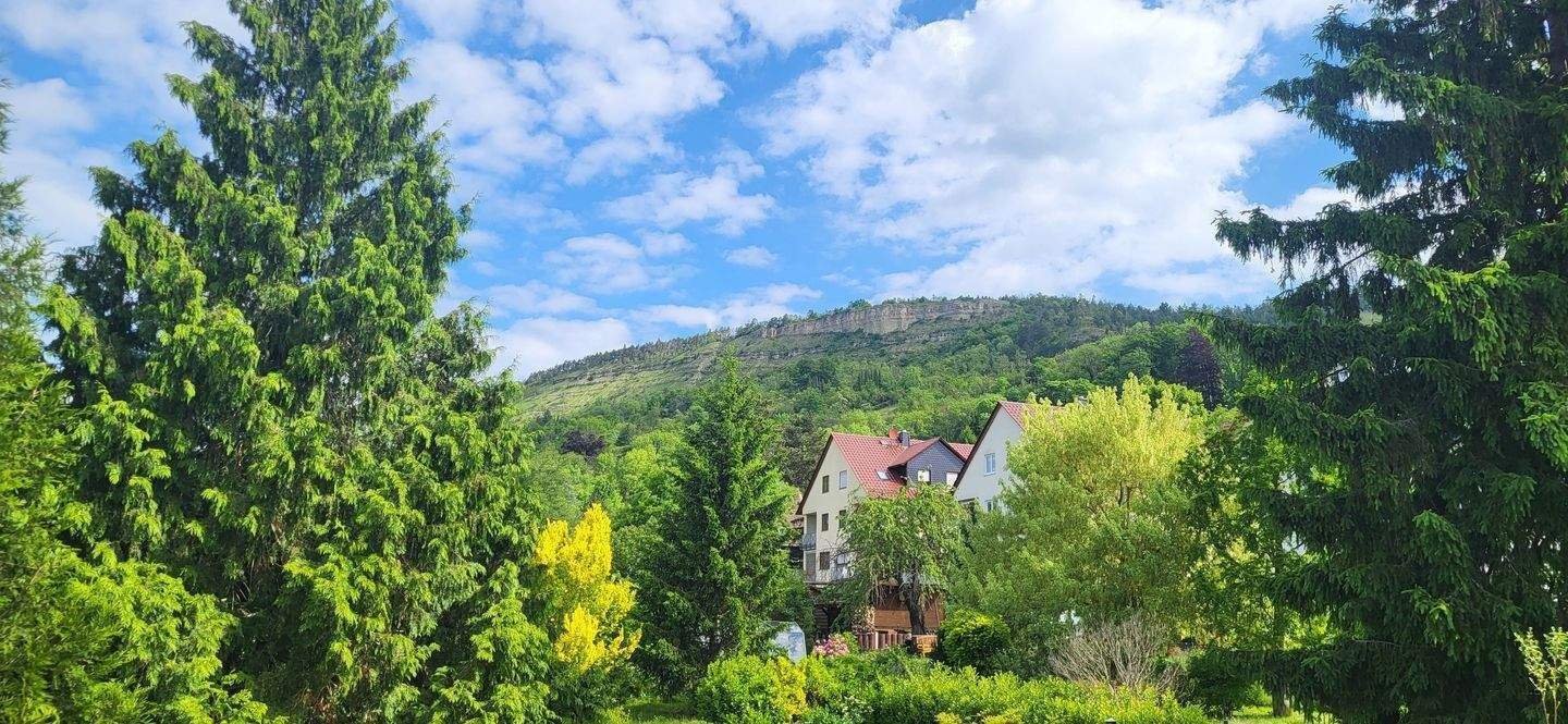 Neubau ! 4-Zimmer Wohnung in grüner Ortsrandlage von Altlobeda – Jena – Vorschaubild 4