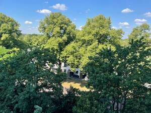 Gepflegte und großzügige Wohnung