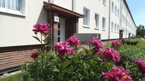 2-Raum Wohnung / Stadtfeld West / 65m²
