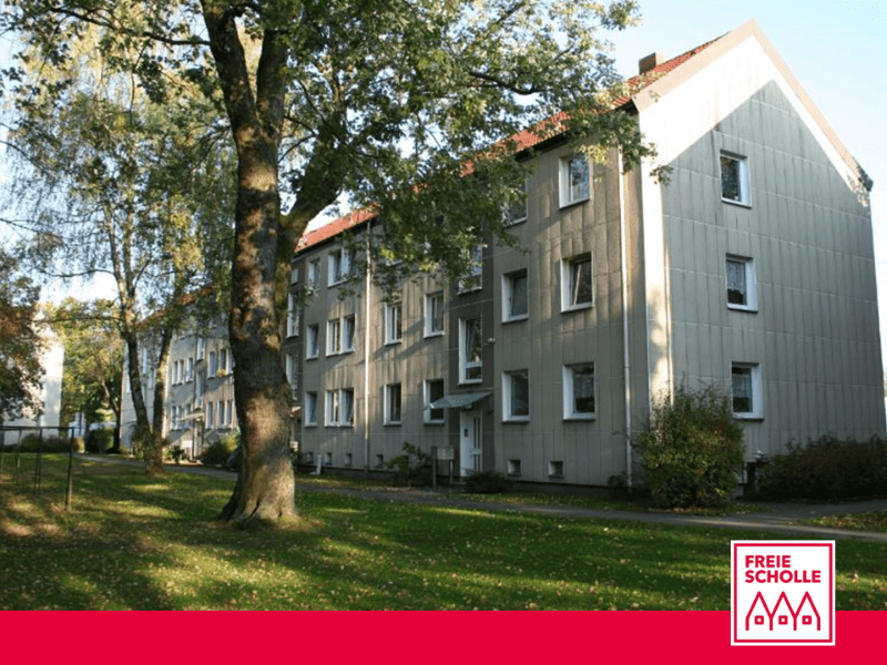 Günstig - 3-Zimmer-Wohnung - "Freie Scholle eG"