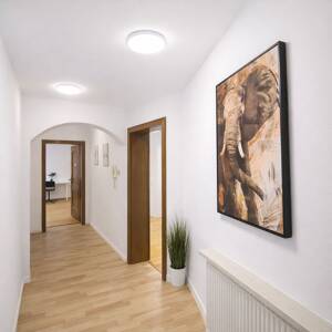 4 möblierte WG-Zimmer in Regensburg Altstadt | ab 630 € | 2 Bäder – 93047 Regensburg – Vorschaubild 7